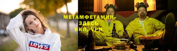 прущие грибы Каменка