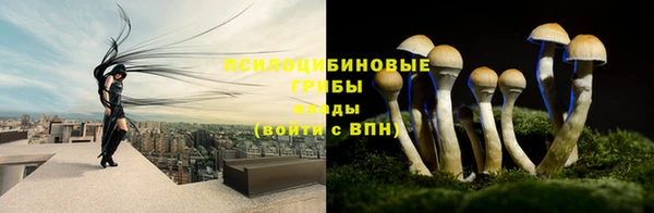 спайс Каменск-Шахтинский