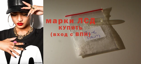 прущие грибы Каменка