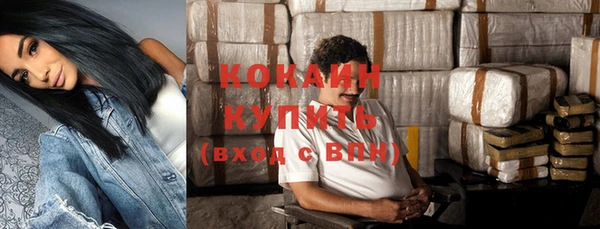 шишки Шадринск