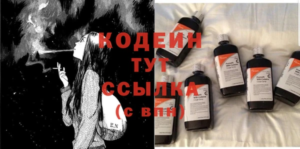 прущие грибы Каменка