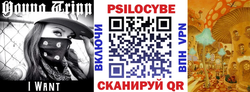 Псилоцибиновые грибы GOLDEN TEACHER  Купить где  Куйбышев 